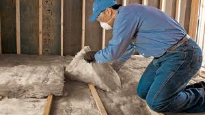 Eco-Friendly or Green Insulation Solutions in La Cygne, KS